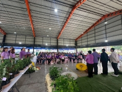 LINE_ALBUM_20269 อนุรักษ์พันธุกรรมพืช_260220_103.jpg - เทศบาลตำบลสันป่าตองได้ดำเนินการจัด โครงการอนุรักษ์พันธุกรรมพืชอันเนื่องมาจากพระราชดำริ สมเด็จพระกนิษฐาธิราชเจ้า กรมสมเด็จพระเทพรัตนราชสุดาฯ สยามบรมราชกุมารี | https://www.sanpatong.go.th